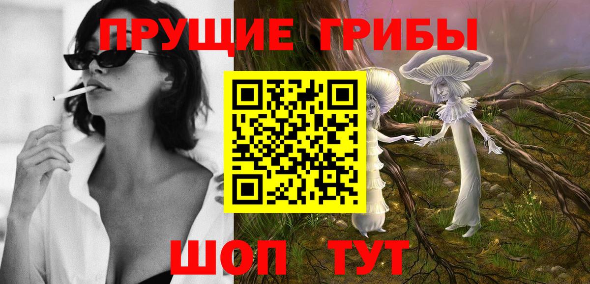 Псилоцибиновые грибы Psilocybe  Галлюциногенные грибы ЛСД  Вход с VPN  Жигулёвск 