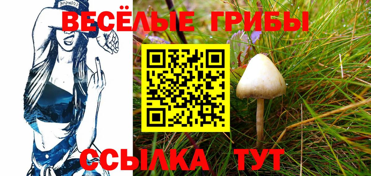 Галлюциногенные грибы мицелий Жигулёвск